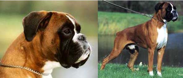 DE CH Bastian Vom Grossherzogtum-Hessen