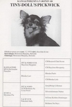 CH C.I.B,NORD, Tiny-Doll's Pickwick