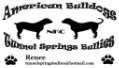 Tunnel Springs Bullies