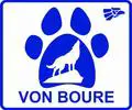 loup berger allemand